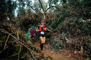 BIB: 
                            <button type="button" onclick="openModal(25474200)" class="btn btn-primary btn-sm float-right btn-popup" data-toggle="modal" data-target=".modal-high-quality">
                        <i class="fas fa-shopping-cart"></i> Add to Cart
                    </button>
                                            <button type="button" onclick="isThisMe(25474200, true)" class="btn btn-success btn-sm float-right btn-popup btn-isme hidden" data-toggle="tooltip" data-placement="bottom" title="นี่คือรูปของคุณใช่ไหม คลิกที่นี่เพื่อเอาเข้าอัลบั้ม">
                        <i class="fas fa-plus"></i> Add to album
                    </button>
                    <button type="button" onclick="isThisMe(25474200, false)" class="btn btn-warning btn-sm float-right btn-popup btn-isnotme hidden">
                        <i class="fas fa-ban"></i> Remove from album
                    </button>