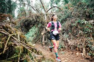 BIB: 
                            <button type="button" onclick="openModal(25525825)" class="btn btn-primary btn-sm float-right btn-popup" data-toggle="modal" data-target=".modal-high-quality">
                        <i class="fas fa-shopping-cart"></i> Add to Cart
                    </button>
                                            <button type="button" onclick="isThisMe(25525825, true)" class="btn btn-success btn-sm float-right btn-popup btn-isme hidden" data-toggle="tooltip" data-placement="bottom" title="นี่คือรูปของคุณใช่ไหม คลิกที่นี่เพื่อเอาเข้าอัลบั้ม">
                        <i class="fas fa-plus"></i> Add to album
                    </button>
                    <button type="button" onclick="isThisMe(25525825, false)" class="btn btn-warning btn-sm float-right btn-popup btn-isnotme hidden">
                        <i class="fas fa-ban"></i> Remove from album
                    </button>