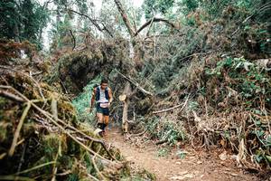 BIB: 
                            <button type="button" onclick="openModal(25524927)" class="btn btn-primary btn-sm float-right btn-popup" data-toggle="modal" data-target=".modal-high-quality">
                        <i class="fas fa-shopping-cart"></i> Add to Cart
                    </button>
                                            <button type="button" onclick="isThisMe(25524927, true)" class="btn btn-success btn-sm float-right btn-popup btn-isme hidden" data-toggle="tooltip" data-placement="bottom" title="นี่คือรูปของคุณใช่ไหม คลิกที่นี่เพื่อเอาเข้าอัลบั้ม">
                        <i class="fas fa-plus"></i> Add to album
                    </button>
                    <button type="button" onclick="isThisMe(25524927, false)" class="btn btn-warning btn-sm float-right btn-popup btn-isnotme hidden">
                        <i class="fas fa-ban"></i> Remove from album
                    </button>