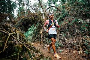 BIB: 
                            <button type="button" onclick="openModal(25529744)" class="btn btn-primary btn-sm float-right btn-popup" data-toggle="modal" data-target=".modal-high-quality">
                        <i class="fas fa-shopping-cart"></i> Add to Cart
                    </button>
                                            <button type="button" onclick="isThisMe(25529744, true)" class="btn btn-success btn-sm float-right btn-popup btn-isme hidden" data-toggle="tooltip" data-placement="bottom" title="นี่คือรูปของคุณใช่ไหม คลิกที่นี่เพื่อเอาเข้าอัลบั้ม">
                        <i class="fas fa-plus"></i> Add to album
                    </button>
                    <button type="button" onclick="isThisMe(25529744, false)" class="btn btn-warning btn-sm float-right btn-popup btn-isnotme hidden">
                        <i class="fas fa-ban"></i> Remove from album
                    </button>