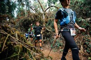 BIB: 
                            <button type="button" onclick="openModal(25478483)" class="btn btn-primary btn-sm float-right btn-popup" data-toggle="modal" data-target=".modal-high-quality">
                        <i class="fas fa-shopping-cart"></i> Add to Cart
                    </button>
                                            <button type="button" onclick="isThisMe(25478483, true)" class="btn btn-success btn-sm float-right btn-popup btn-isme hidden" data-toggle="tooltip" data-placement="bottom" title="นี่คือรูปของคุณใช่ไหม คลิกที่นี่เพื่อเอาเข้าอัลบั้ม">
                        <i class="fas fa-plus"></i> Add to album
                    </button>
                    <button type="button" onclick="isThisMe(25478483, false)" class="btn btn-warning btn-sm float-right btn-popup btn-isnotme hidden">
                        <i class="fas fa-ban"></i> Remove from album
                    </button>