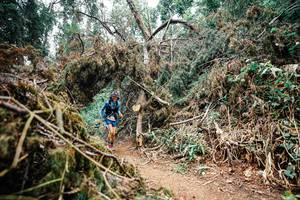 BIB: 
                            <button type="button" onclick="openModal(25549114)" class="btn btn-primary btn-sm float-right btn-popup" data-toggle="modal" data-target=".modal-high-quality">
                        <i class="fas fa-shopping-cart"></i> Add to Cart
                    </button>
                                            <button type="button" onclick="isThisMe(25549114, true)" class="btn btn-success btn-sm float-right btn-popup btn-isme hidden" data-toggle="tooltip" data-placement="bottom" title="นี่คือรูปของคุณใช่ไหม คลิกที่นี่เพื่อเอาเข้าอัลบั้ม">
                        <i class="fas fa-plus"></i> Add to album
                    </button>
                    <button type="button" onclick="isThisMe(25549114, false)" class="btn btn-warning btn-sm float-right btn-popup btn-isnotme hidden">
                        <i class="fas fa-ban"></i> Remove from album
                    </button>