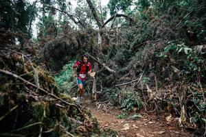 BIB: 
                            <button type="button" onclick="openModal(25452309)" class="btn btn-primary btn-sm float-right btn-popup" data-toggle="modal" data-target=".modal-high-quality">
                        <i class="fas fa-shopping-cart"></i> Add to Cart
                    </button>
                                            <button type="button" onclick="isThisMe(25452309, true)" class="btn btn-success btn-sm float-right btn-popup btn-isme hidden" data-toggle="tooltip" data-placement="bottom" title="นี่คือรูปของคุณใช่ไหม คลิกที่นี่เพื่อเอาเข้าอัลบั้ม">
                        <i class="fas fa-plus"></i> Add to album
                    </button>
                    <button type="button" onclick="isThisMe(25452309, false)" class="btn btn-warning btn-sm float-right btn-popup btn-isnotme hidden">
                        <i class="fas fa-ban"></i> Remove from album
                    </button>