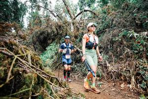 BIB: 
                            <button type="button" onclick="openModal(25549512)" class="btn btn-primary btn-sm float-right btn-popup" data-toggle="modal" data-target=".modal-high-quality">
                        <i class="fas fa-shopping-cart"></i> Add to Cart
                    </button>
                                            <button type="button" onclick="isThisMe(25549512, true)" class="btn btn-success btn-sm float-right btn-popup btn-isme hidden" data-toggle="tooltip" data-placement="bottom" title="นี่คือรูปของคุณใช่ไหม คลิกที่นี่เพื่อเอาเข้าอัลบั้ม">
                        <i class="fas fa-plus"></i> Add to album
                    </button>
                    <button type="button" onclick="isThisMe(25549512, false)" class="btn btn-warning btn-sm float-right btn-popup btn-isnotme hidden">
                        <i class="fas fa-ban"></i> Remove from album
                    </button>