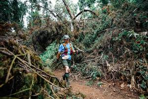 BIB: 
                            <button type="button" onclick="openModal(25553767)" class="btn btn-primary btn-sm float-right btn-popup" data-toggle="modal" data-target=".modal-high-quality">
                        <i class="fas fa-shopping-cart"></i> Add to Cart
                    </button>
                                            <button type="button" onclick="isThisMe(25553767, true)" class="btn btn-success btn-sm float-right btn-popup btn-isme hidden" data-toggle="tooltip" data-placement="bottom" title="นี่คือรูปของคุณใช่ไหม คลิกที่นี่เพื่อเอาเข้าอัลบั้ม">
                        <i class="fas fa-plus"></i> Add to album
                    </button>
                    <button type="button" onclick="isThisMe(25553767, false)" class="btn btn-warning btn-sm float-right btn-popup btn-isnotme hidden">
                        <i class="fas fa-ban"></i> Remove from album
                    </button>