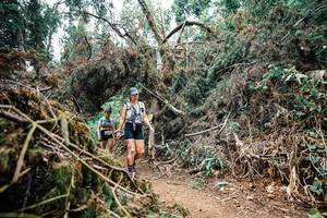 BIB: 
                            <button type="button" onclick="openModal(25546497)" class="btn btn-primary btn-sm float-right btn-popup" data-toggle="modal" data-target=".modal-high-quality">
                        <i class="fas fa-shopping-cart"></i> Add to Cart
                    </button>
                                            <button type="button" onclick="isThisMe(25546497, true)" class="btn btn-success btn-sm float-right btn-popup btn-isme hidden" data-toggle="tooltip" data-placement="bottom" title="นี่คือรูปของคุณใช่ไหม คลิกที่นี่เพื่อเอาเข้าอัลบั้ม">
                        <i class="fas fa-plus"></i> Add to album
                    </button>
                    <button type="button" onclick="isThisMe(25546497, false)" class="btn btn-warning btn-sm float-right btn-popup btn-isnotme hidden">
                        <i class="fas fa-ban"></i> Remove from album
                    </button>