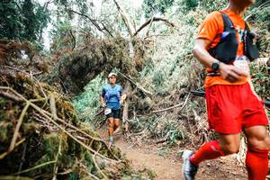 BIB: 
                            <button type="button" onclick="openModal(25553078)" class="btn btn-primary btn-sm float-right btn-popup" data-toggle="modal" data-target=".modal-high-quality">
                        <i class="fas fa-shopping-cart"></i> Add to Cart
                    </button>
                                            <button type="button" onclick="isThisMe(25553078, true)" class="btn btn-success btn-sm float-right btn-popup btn-isme hidden" data-toggle="tooltip" data-placement="bottom" title="นี่คือรูปของคุณใช่ไหม คลิกที่นี่เพื่อเอาเข้าอัลบั้ม">
                        <i class="fas fa-plus"></i> Add to album
                    </button>
                    <button type="button" onclick="isThisMe(25553078, false)" class="btn btn-warning btn-sm float-right btn-popup btn-isnotme hidden">
                        <i class="fas fa-ban"></i> Remove from album
                    </button>