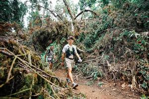 BIB: 
                            <button type="button" onclick="openModal(25549692)" class="btn btn-primary btn-sm float-right btn-popup" data-toggle="modal" data-target=".modal-high-quality">
                        <i class="fas fa-shopping-cart"></i> Add to Cart
                    </button>
                                            <button type="button" onclick="isThisMe(25549692, true)" class="btn btn-success btn-sm float-right btn-popup btn-isme hidden" data-toggle="tooltip" data-placement="bottom" title="นี่คือรูปของคุณใช่ไหม คลิกที่นี่เพื่อเอาเข้าอัลบั้ม">
                        <i class="fas fa-plus"></i> Add to album
                    </button>
                    <button type="button" onclick="isThisMe(25549692, false)" class="btn btn-warning btn-sm float-right btn-popup btn-isnotme hidden">
                        <i class="fas fa-ban"></i> Remove from album
                    </button>