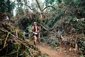 BIB: 
                            <button type="button" onclick="openModal(25551314)" class="btn btn-primary btn-sm float-right btn-popup" data-toggle="modal" data-target=".modal-high-quality">
                        <i class="fas fa-shopping-cart"></i> Add to Cart
                    </button>
                                            <button type="button" onclick="isThisMe(25551314, true)" class="btn btn-success btn-sm float-right btn-popup btn-isme hidden" data-toggle="tooltip" data-placement="bottom" title="นี่คือรูปของคุณใช่ไหม คลิกที่นี่เพื่อเอาเข้าอัลบั้ม">
                        <i class="fas fa-plus"></i> Add to album
                    </button>
                    <button type="button" onclick="isThisMe(25551314, false)" class="btn btn-warning btn-sm float-right btn-popup btn-isnotme hidden">
                        <i class="fas fa-ban"></i> Remove from album
                    </button>