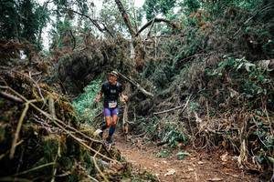 BIB: 
                            <button type="button" onclick="openModal(25459479)" class="btn btn-primary btn-sm float-right btn-popup" data-toggle="modal" data-target=".modal-high-quality">
                        <i class="fas fa-shopping-cart"></i> Add to Cart
                    </button>
                                            <button type="button" onclick="isThisMe(25459479, true)" class="btn btn-success btn-sm float-right btn-popup btn-isme hidden" data-toggle="tooltip" data-placement="bottom" title="นี่คือรูปของคุณใช่ไหม คลิกที่นี่เพื่อเอาเข้าอัลบั้ม">
                        <i class="fas fa-plus"></i> Add to album
                    </button>
                    <button type="button" onclick="isThisMe(25459479, false)" class="btn btn-warning btn-sm float-right btn-popup btn-isnotme hidden">
                        <i class="fas fa-ban"></i> Remove from album
                    </button>