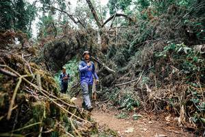 BIB: 
                            <button type="button" onclick="openModal(25464579)" class="btn btn-primary btn-sm float-right btn-popup" data-toggle="modal" data-target=".modal-high-quality">
                        <i class="fas fa-shopping-cart"></i> Add to Cart
                    </button>
                                            <button type="button" onclick="isThisMe(25464579, true)" class="btn btn-success btn-sm float-right btn-popup btn-isme hidden" data-toggle="tooltip" data-placement="bottom" title="นี่คือรูปของคุณใช่ไหม คลิกที่นี่เพื่อเอาเข้าอัลบั้ม">
                        <i class="fas fa-plus"></i> Add to album
                    </button>
                    <button type="button" onclick="isThisMe(25464579, false)" class="btn btn-warning btn-sm float-right btn-popup btn-isnotme hidden">
                        <i class="fas fa-ban"></i> Remove from album
                    </button>