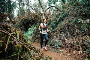 BIB: 
                            <button type="button" onclick="openModal(25539505)" class="btn btn-primary btn-sm float-right btn-popup" data-toggle="modal" data-target=".modal-high-quality">
                        <i class="fas fa-shopping-cart"></i> Add to Cart
                    </button>
                                            <button type="button" onclick="isThisMe(25539505, true)" class="btn btn-success btn-sm float-right btn-popup btn-isme hidden" data-toggle="tooltip" data-placement="bottom" title="นี่คือรูปของคุณใช่ไหม คลิกที่นี่เพื่อเอาเข้าอัลบั้ม">
                        <i class="fas fa-plus"></i> Add to album
                    </button>
                    <button type="button" onclick="isThisMe(25539505, false)" class="btn btn-warning btn-sm float-right btn-popup btn-isnotme hidden">
                        <i class="fas fa-ban"></i> Remove from album
                    </button>