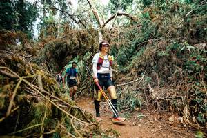 BIB: 
                            <button type="button" onclick="openModal(25474891)" class="btn btn-primary btn-sm float-right btn-popup" data-toggle="modal" data-target=".modal-high-quality">
                        <i class="fas fa-shopping-cart"></i> Add to Cart
                    </button>
                                            <button type="button" onclick="isThisMe(25474891, true)" class="btn btn-success btn-sm float-right btn-popup btn-isme hidden" data-toggle="tooltip" data-placement="bottom" title="นี่คือรูปของคุณใช่ไหม คลิกที่นี่เพื่อเอาเข้าอัลบั้ม">
                        <i class="fas fa-plus"></i> Add to album
                    </button>
                    <button type="button" onclick="isThisMe(25474891, false)" class="btn btn-warning btn-sm float-right btn-popup btn-isnotme hidden">
                        <i class="fas fa-ban"></i> Remove from album
                    </button>