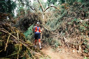 BIB: 
                            <button type="button" onclick="openModal(25541595)" class="btn btn-primary btn-sm float-right btn-popup" data-toggle="modal" data-target=".modal-high-quality">
                        <i class="fas fa-shopping-cart"></i> Add to Cart
                    </button>
                                            <button type="button" onclick="isThisMe(25541595, true)" class="btn btn-success btn-sm float-right btn-popup btn-isme hidden" data-toggle="tooltip" data-placement="bottom" title="นี่คือรูปของคุณใช่ไหม คลิกที่นี่เพื่อเอาเข้าอัลบั้ม">
                        <i class="fas fa-plus"></i> Add to album
                    </button>
                    <button type="button" onclick="isThisMe(25541595, false)" class="btn btn-warning btn-sm float-right btn-popup btn-isnotme hidden">
                        <i class="fas fa-ban"></i> Remove from album
                    </button>