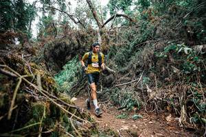 BIB: 
                            <button type="button" onclick="openModal(25454212)" class="btn btn-primary btn-sm float-right btn-popup" data-toggle="modal" data-target=".modal-high-quality">
                        <i class="fas fa-shopping-cart"></i> Add to Cart
                    </button>
                                            <button type="button" onclick="isThisMe(25454212, true)" class="btn btn-success btn-sm float-right btn-popup btn-isme hidden" data-toggle="tooltip" data-placement="bottom" title="นี่คือรูปของคุณใช่ไหม คลิกที่นี่เพื่อเอาเข้าอัลบั้ม">
                        <i class="fas fa-plus"></i> Add to album
                    </button>
                    <button type="button" onclick="isThisMe(25454212, false)" class="btn btn-warning btn-sm float-right btn-popup btn-isnotme hidden">
                        <i class="fas fa-ban"></i> Remove from album
                    </button>