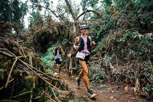 BIB: 
                            <button type="button" onclick="openModal(25529159)" class="btn btn-primary btn-sm float-right btn-popup" data-toggle="modal" data-target=".modal-high-quality">
                        <i class="fas fa-shopping-cart"></i> Add to Cart
                    </button>
                                            <button type="button" onclick="isThisMe(25529159, true)" class="btn btn-success btn-sm float-right btn-popup btn-isme hidden" data-toggle="tooltip" data-placement="bottom" title="นี่คือรูปของคุณใช่ไหม คลิกที่นี่เพื่อเอาเข้าอัลบั้ม">
                        <i class="fas fa-plus"></i> Add to album
                    </button>
                    <button type="button" onclick="isThisMe(25529159, false)" class="btn btn-warning btn-sm float-right btn-popup btn-isnotme hidden">
                        <i class="fas fa-ban"></i> Remove from album
                    </button>