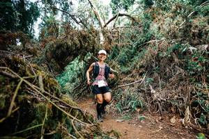 BIB: 
                            <button type="button" onclick="openModal(25473117)" class="btn btn-primary btn-sm float-right btn-popup" data-toggle="modal" data-target=".modal-high-quality">
                        <i class="fas fa-shopping-cart"></i> Add to Cart
                    </button>
                                            <button type="button" onclick="isThisMe(25473117, true)" class="btn btn-success btn-sm float-right btn-popup btn-isme hidden" data-toggle="tooltip" data-placement="bottom" title="นี่คือรูปของคุณใช่ไหม คลิกที่นี่เพื่อเอาเข้าอัลบั้ม">
                        <i class="fas fa-plus"></i> Add to album
                    </button>
                    <button type="button" onclick="isThisMe(25473117, false)" class="btn btn-warning btn-sm float-right btn-popup btn-isnotme hidden">
                        <i class="fas fa-ban"></i> Remove from album
                    </button>