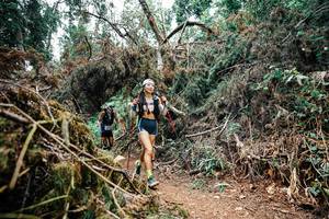 BIB: 
                            <button type="button" onclick="openModal(25528641)" class="btn btn-primary btn-sm float-right btn-popup" data-toggle="modal" data-target=".modal-high-quality">
                        <i class="fas fa-shopping-cart"></i> Add to Cart
                    </button>
                                            <button type="button" onclick="isThisMe(25528641, true)" class="btn btn-success btn-sm float-right btn-popup btn-isme hidden" data-toggle="tooltip" data-placement="bottom" title="นี่คือรูปของคุณใช่ไหม คลิกที่นี่เพื่อเอาเข้าอัลบั้ม">
                        <i class="fas fa-plus"></i> Add to album
                    </button>
                    <button type="button" onclick="isThisMe(25528641, false)" class="btn btn-warning btn-sm float-right btn-popup btn-isnotme hidden">
                        <i class="fas fa-ban"></i> Remove from album
                    </button>