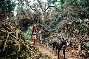 BIB: 
                            <button type="button" onclick="openModal(25519294)" class="btn btn-primary btn-sm float-right btn-popup" data-toggle="modal" data-target=".modal-high-quality">
                        <i class="fas fa-shopping-cart"></i> Add to Cart
                    </button>
                                            <button type="button" onclick="isThisMe(25519294, true)" class="btn btn-success btn-sm float-right btn-popup btn-isme hidden" data-toggle="tooltip" data-placement="bottom" title="นี่คือรูปของคุณใช่ไหม คลิกที่นี่เพื่อเอาเข้าอัลบั้ม">
                        <i class="fas fa-plus"></i> Add to album
                    </button>
                    <button type="button" onclick="isThisMe(25519294, false)" class="btn btn-warning btn-sm float-right btn-popup btn-isnotme hidden">
                        <i class="fas fa-ban"></i> Remove from album
                    </button>