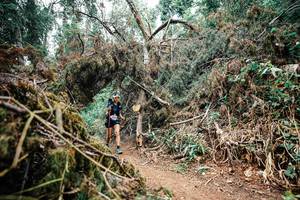 BIB: 
                            <button type="button" onclick="openModal(25550442)" class="btn btn-primary btn-sm float-right btn-popup" data-toggle="modal" data-target=".modal-high-quality">
                        <i class="fas fa-shopping-cart"></i> Add to Cart
                    </button>
                                            <button type="button" onclick="isThisMe(25550442, true)" class="btn btn-success btn-sm float-right btn-popup btn-isme hidden" data-toggle="tooltip" data-placement="bottom" title="นี่คือรูปของคุณใช่ไหม คลิกที่นี่เพื่อเอาเข้าอัลบั้ม">
                        <i class="fas fa-plus"></i> Add to album
                    </button>
                    <button type="button" onclick="isThisMe(25550442, false)" class="btn btn-warning btn-sm float-right btn-popup btn-isnotme hidden">
                        <i class="fas fa-ban"></i> Remove from album
                    </button>