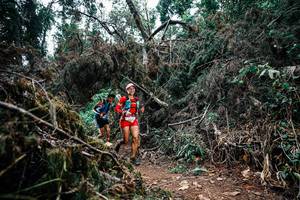 BIB: 
                            <button type="button" onclick="openModal(25452141)" class="btn btn-primary btn-sm float-right btn-popup" data-toggle="modal" data-target=".modal-high-quality">
                        <i class="fas fa-shopping-cart"></i> Add to Cart
                    </button>
                                            <button type="button" onclick="isThisMe(25452141, true)" class="btn btn-success btn-sm float-right btn-popup btn-isme hidden" data-toggle="tooltip" data-placement="bottom" title="นี่คือรูปของคุณใช่ไหม คลิกที่นี่เพื่อเอาเข้าอัลบั้ม">
                        <i class="fas fa-plus"></i> Add to album
                    </button>
                    <button type="button" onclick="isThisMe(25452141, false)" class="btn btn-warning btn-sm float-right btn-popup btn-isnotme hidden">
                        <i class="fas fa-ban"></i> Remove from album
                    </button>