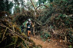 BIB: 
                            <button type="button" onclick="openModal(25475862)" class="btn btn-primary btn-sm float-right btn-popup" data-toggle="modal" data-target=".modal-high-quality">
                        <i class="fas fa-shopping-cart"></i> Add to Cart
                    </button>
                                            <button type="button" onclick="isThisMe(25475862, true)" class="btn btn-success btn-sm float-right btn-popup btn-isme hidden" data-toggle="tooltip" data-placement="bottom" title="นี่คือรูปของคุณใช่ไหม คลิกที่นี่เพื่อเอาเข้าอัลบั้ม">
                        <i class="fas fa-plus"></i> Add to album
                    </button>
                    <button type="button" onclick="isThisMe(25475862, false)" class="btn btn-warning btn-sm float-right btn-popup btn-isnotme hidden">
                        <i class="fas fa-ban"></i> Remove from album
                    </button>