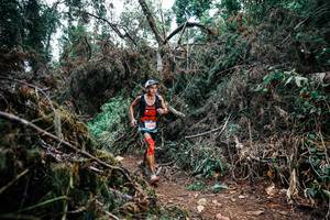 BIB: 
                            <button type="button" onclick="openModal(25451689)" class="btn btn-primary btn-sm float-right btn-popup" data-toggle="modal" data-target=".modal-high-quality">
                        <i class="fas fa-shopping-cart"></i> Add to Cart
                    </button>
                                            <button type="button" onclick="isThisMe(25451689, true)" class="btn btn-success btn-sm float-right btn-popup btn-isme hidden" data-toggle="tooltip" data-placement="bottom" title="นี่คือรูปของคุณใช่ไหม คลิกที่นี่เพื่อเอาเข้าอัลบั้ม">
                        <i class="fas fa-plus"></i> Add to album
                    </button>
                    <button type="button" onclick="isThisMe(25451689, false)" class="btn btn-warning btn-sm float-right btn-popup btn-isnotme hidden">
                        <i class="fas fa-ban"></i> Remove from album
                    </button>