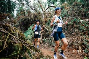 BIB: 
                            <button type="button" onclick="openModal(25553209)" class="btn btn-primary btn-sm float-right btn-popup" data-toggle="modal" data-target=".modal-high-quality">
                        <i class="fas fa-shopping-cart"></i> Add to Cart
                    </button>
                                            <button type="button" onclick="isThisMe(25553209, true)" class="btn btn-success btn-sm float-right btn-popup btn-isme hidden" data-toggle="tooltip" data-placement="bottom" title="นี่คือรูปของคุณใช่ไหม คลิกที่นี่เพื่อเอาเข้าอัลบั้ม">
                        <i class="fas fa-plus"></i> Add to album
                    </button>
                    <button type="button" onclick="isThisMe(25553209, false)" class="btn btn-warning btn-sm float-right btn-popup btn-isnotme hidden">
                        <i class="fas fa-ban"></i> Remove from album
                    </button>