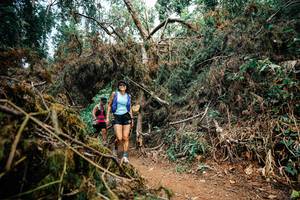 BIB: 
                            <button type="button" onclick="openModal(25478589)" class="btn btn-primary btn-sm float-right btn-popup" data-toggle="modal" data-target=".modal-high-quality">
                        <i class="fas fa-shopping-cart"></i> Add to Cart
                    </button>
                                            <button type="button" onclick="isThisMe(25478589, true)" class="btn btn-success btn-sm float-right btn-popup btn-isme hidden" data-toggle="tooltip" data-placement="bottom" title="นี่คือรูปของคุณใช่ไหม คลิกที่นี่เพื่อเอาเข้าอัลบั้ม">
                        <i class="fas fa-plus"></i> Add to album
                    </button>
                    <button type="button" onclick="isThisMe(25478589, false)" class="btn btn-warning btn-sm float-right btn-popup btn-isnotme hidden">
                        <i class="fas fa-ban"></i> Remove from album
                    </button>