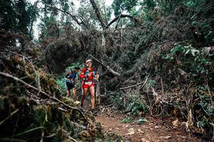 BIB: 
                            <button type="button" onclick="openModal(25452124)" class="btn btn-primary btn-sm float-right btn-popup" data-toggle="modal" data-target=".modal-high-quality">
                        <i class="fas fa-shopping-cart"></i> Add to Cart
                    </button>
                                            <button type="button" onclick="isThisMe(25452124, true)" class="btn btn-success btn-sm float-right btn-popup btn-isme hidden" data-toggle="tooltip" data-placement="bottom" title="นี่คือรูปของคุณใช่ไหม คลิกที่นี่เพื่อเอาเข้าอัลบั้ม">
                        <i class="fas fa-plus"></i> Add to album
                    </button>
                    <button type="button" onclick="isThisMe(25452124, false)" class="btn btn-warning btn-sm float-right btn-popup btn-isnotme hidden">
                        <i class="fas fa-ban"></i> Remove from album
                    </button>