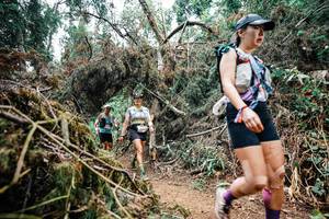 BIB: 
                            <button type="button" onclick="openModal(25546546)" class="btn btn-primary btn-sm float-right btn-popup" data-toggle="modal" data-target=".modal-high-quality">
                        <i class="fas fa-shopping-cart"></i> Add to Cart
                    </button>
                                            <button type="button" onclick="isThisMe(25546546, true)" class="btn btn-success btn-sm float-right btn-popup btn-isme hidden" data-toggle="tooltip" data-placement="bottom" title="นี่คือรูปของคุณใช่ไหม คลิกที่นี่เพื่อเอาเข้าอัลบั้ม">
                        <i class="fas fa-plus"></i> Add to album
                    </button>
                    <button type="button" onclick="isThisMe(25546546, false)" class="btn btn-warning btn-sm float-right btn-popup btn-isnotme hidden">
                        <i class="fas fa-ban"></i> Remove from album
                    </button>