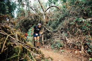 BIB: 
                            <button type="button" onclick="openModal(25479996)" class="btn btn-primary btn-sm float-right btn-popup" data-toggle="modal" data-target=".modal-high-quality">
                        <i class="fas fa-shopping-cart"></i> Add to Cart
                    </button>
                                            <button type="button" onclick="isThisMe(25479996, true)" class="btn btn-success btn-sm float-right btn-popup btn-isme hidden" data-toggle="tooltip" data-placement="bottom" title="นี่คือรูปของคุณใช่ไหม คลิกที่นี่เพื่อเอาเข้าอัลบั้ม">
                        <i class="fas fa-plus"></i> Add to album
                    </button>
                    <button type="button" onclick="isThisMe(25479996, false)" class="btn btn-warning btn-sm float-right btn-popup btn-isnotme hidden">
                        <i class="fas fa-ban"></i> Remove from album
                    </button>