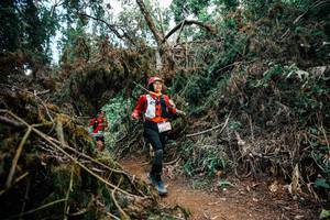 BIB: 
                            <button type="button" onclick="openModal(25479383)" class="btn btn-primary btn-sm float-right btn-popup" data-toggle="modal" data-target=".modal-high-quality">
                        <i class="fas fa-shopping-cart"></i> Add to Cart
                    </button>
                                            <button type="button" onclick="isThisMe(25479383, true)" class="btn btn-success btn-sm float-right btn-popup btn-isme hidden" data-toggle="tooltip" data-placement="bottom" title="นี่คือรูปของคุณใช่ไหม คลิกที่นี่เพื่อเอาเข้าอัลบั้ม">
                        <i class="fas fa-plus"></i> Add to album
                    </button>
                    <button type="button" onclick="isThisMe(25479383, false)" class="btn btn-warning btn-sm float-right btn-popup btn-isnotme hidden">
                        <i class="fas fa-ban"></i> Remove from album
                    </button>