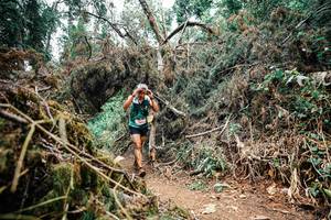 BIB: 
                            <button type="button" onclick="openModal(25465229)" class="btn btn-primary btn-sm float-right btn-popup" data-toggle="modal" data-target=".modal-high-quality">
                        <i class="fas fa-shopping-cart"></i> Add to Cart
                    </button>
                                            <button type="button" onclick="isThisMe(25465229, true)" class="btn btn-success btn-sm float-right btn-popup btn-isme hidden" data-toggle="tooltip" data-placement="bottom" title="นี่คือรูปของคุณใช่ไหม คลิกที่นี่เพื่อเอาเข้าอัลบั้ม">
                        <i class="fas fa-plus"></i> Add to album
                    </button>
                    <button type="button" onclick="isThisMe(25465229, false)" class="btn btn-warning btn-sm float-right btn-popup btn-isnotme hidden">
                        <i class="fas fa-ban"></i> Remove from album
                    </button>