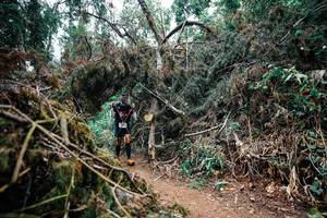 BIB: 
                            <button type="button" onclick="openModal(25470683)" class="btn btn-primary btn-sm float-right btn-popup" data-toggle="modal" data-target=".modal-high-quality">
                        <i class="fas fa-shopping-cart"></i> Add to Cart
                    </button>
                                            <button type="button" onclick="isThisMe(25470683, true)" class="btn btn-success btn-sm float-right btn-popup btn-isme hidden" data-toggle="tooltip" data-placement="bottom" title="นี่คือรูปของคุณใช่ไหม คลิกที่นี่เพื่อเอาเข้าอัลบั้ม">
                        <i class="fas fa-plus"></i> Add to album
                    </button>
                    <button type="button" onclick="isThisMe(25470683, false)" class="btn btn-warning btn-sm float-right btn-popup btn-isnotme hidden">
                        <i class="fas fa-ban"></i> Remove from album
                    </button>