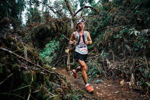 BIB: 
                            <button type="button" onclick="openModal(25451006)" class="btn btn-primary btn-sm float-right btn-popup" data-toggle="modal" data-target=".modal-high-quality">
                        <i class="fas fa-shopping-cart"></i> Add to Cart
                    </button>
                                            <button type="button" onclick="isThisMe(25451006, true)" class="btn btn-success btn-sm float-right btn-popup btn-isme hidden" data-toggle="tooltip" data-placement="bottom" title="นี่คือรูปของคุณใช่ไหม คลิกที่นี่เพื่อเอาเข้าอัลบั้ม">
                        <i class="fas fa-plus"></i> Add to album
                    </button>
                    <button type="button" onclick="isThisMe(25451006, false)" class="btn btn-warning btn-sm float-right btn-popup btn-isnotme hidden">
                        <i class="fas fa-ban"></i> Remove from album
                    </button>