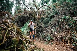 BIB: 
                            <button type="button" onclick="openModal(25529032)" class="btn btn-primary btn-sm float-right btn-popup" data-toggle="modal" data-target=".modal-high-quality">
                        <i class="fas fa-shopping-cart"></i> Add to Cart
                    </button>
                                            <button type="button" onclick="isThisMe(25529032, true)" class="btn btn-success btn-sm float-right btn-popup btn-isme hidden" data-toggle="tooltip" data-placement="bottom" title="นี่คือรูปของคุณใช่ไหม คลิกที่นี่เพื่อเอาเข้าอัลบั้ม">
                        <i class="fas fa-plus"></i> Add to album
                    </button>
                    <button type="button" onclick="isThisMe(25529032, false)" class="btn btn-warning btn-sm float-right btn-popup btn-isnotme hidden">
                        <i class="fas fa-ban"></i> Remove from album
                    </button>