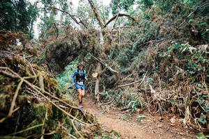 BIB: 
                            <button type="button" onclick="openModal(25549148)" class="btn btn-primary btn-sm float-right btn-popup" data-toggle="modal" data-target=".modal-high-quality">
                        <i class="fas fa-shopping-cart"></i> Add to Cart
                    </button>
                                            <button type="button" onclick="isThisMe(25549148, true)" class="btn btn-success btn-sm float-right btn-popup btn-isme hidden" data-toggle="tooltip" data-placement="bottom" title="นี่คือรูปของคุณใช่ไหม คลิกที่นี่เพื่อเอาเข้าอัลบั้ม">
                        <i class="fas fa-plus"></i> Add to album
                    </button>
                    <button type="button" onclick="isThisMe(25549148, false)" class="btn btn-warning btn-sm float-right btn-popup btn-isnotme hidden">
                        <i class="fas fa-ban"></i> Remove from album
                    </button>