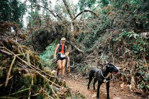 BIB: 
                            <button type="button" onclick="openModal(25519322)" class="btn btn-primary btn-sm float-right btn-popup" data-toggle="modal" data-target=".modal-high-quality">
                        <i class="fas fa-shopping-cart"></i> Add to Cart
                    </button>
                                            <button type="button" onclick="isThisMe(25519322, true)" class="btn btn-success btn-sm float-right btn-popup btn-isme hidden" data-toggle="tooltip" data-placement="bottom" title="นี่คือรูปของคุณใช่ไหม คลิกที่นี่เพื่อเอาเข้าอัลบั้ม">
                        <i class="fas fa-plus"></i> Add to album
                    </button>
                    <button type="button" onclick="isThisMe(25519322, false)" class="btn btn-warning btn-sm float-right btn-popup btn-isnotme hidden">
                        <i class="fas fa-ban"></i> Remove from album
                    </button>