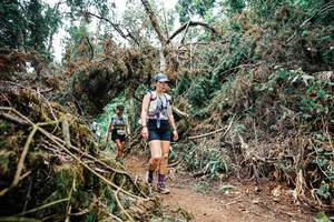 BIB: 
                            <button type="button" onclick="openModal(25546541)" class="btn btn-primary btn-sm float-right btn-popup" data-toggle="modal" data-target=".modal-high-quality">
                        <i class="fas fa-shopping-cart"></i> Add to Cart
                    </button>
                                            <button type="button" onclick="isThisMe(25546541, true)" class="btn btn-success btn-sm float-right btn-popup btn-isme hidden" data-toggle="tooltip" data-placement="bottom" title="นี่คือรูปของคุณใช่ไหม คลิกที่นี่เพื่อเอาเข้าอัลบั้ม">
                        <i class="fas fa-plus"></i> Add to album
                    </button>
                    <button type="button" onclick="isThisMe(25546541, false)" class="btn btn-warning btn-sm float-right btn-popup btn-isnotme hidden">
                        <i class="fas fa-ban"></i> Remove from album
                    </button>