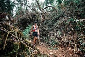 BIB: 
                            <button type="button" onclick="openModal(25453991)" class="btn btn-primary btn-sm float-right btn-popup" data-toggle="modal" data-target=".modal-high-quality">
                        <i class="fas fa-shopping-cart"></i> Add to Cart
                    </button>
                                            <button type="button" onclick="isThisMe(25453991, true)" class="btn btn-success btn-sm float-right btn-popup btn-isme hidden" data-toggle="tooltip" data-placement="bottom" title="นี่คือรูปของคุณใช่ไหม คลิกที่นี่เพื่อเอาเข้าอัลบั้ม">
                        <i class="fas fa-plus"></i> Add to album
                    </button>
                    <button type="button" onclick="isThisMe(25453991, false)" class="btn btn-warning btn-sm float-right btn-popup btn-isnotme hidden">
                        <i class="fas fa-ban"></i> Remove from album
                    </button>