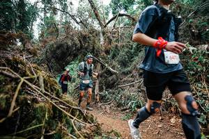 BIB: 
                            <button type="button" onclick="openModal(25551505)" class="btn btn-primary btn-sm float-right btn-popup" data-toggle="modal" data-target=".modal-high-quality">
                        <i class="fas fa-shopping-cart"></i> Add to Cart
                    </button>
                                            <button type="button" onclick="isThisMe(25551505, true)" class="btn btn-success btn-sm float-right btn-popup btn-isme hidden" data-toggle="tooltip" data-placement="bottom" title="นี่คือรูปของคุณใช่ไหม คลิกที่นี่เพื่อเอาเข้าอัลบั้ม">
                        <i class="fas fa-plus"></i> Add to album
                    </button>
                    <button type="button" onclick="isThisMe(25551505, false)" class="btn btn-warning btn-sm float-right btn-popup btn-isnotme hidden">
                        <i class="fas fa-ban"></i> Remove from album
                    </button>