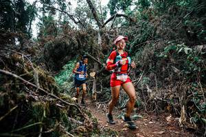 BIB: 
                            <button type="button" onclick="openModal(25452243)" class="btn btn-primary btn-sm float-right btn-popup" data-toggle="modal" data-target=".modal-high-quality">
                        <i class="fas fa-shopping-cart"></i> Add to Cart
                    </button>
                                            <button type="button" onclick="isThisMe(25452243, true)" class="btn btn-success btn-sm float-right btn-popup btn-isme hidden" data-toggle="tooltip" data-placement="bottom" title="นี่คือรูปของคุณใช่ไหม คลิกที่นี่เพื่อเอาเข้าอัลบั้ม">
                        <i class="fas fa-plus"></i> Add to album
                    </button>
                    <button type="button" onclick="isThisMe(25452243, false)" class="btn btn-warning btn-sm float-right btn-popup btn-isnotme hidden">
                        <i class="fas fa-ban"></i> Remove from album
                    </button>