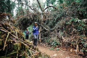 BIB: 
                            <button type="button" onclick="openModal(25464539)" class="btn btn-primary btn-sm float-right btn-popup" data-toggle="modal" data-target=".modal-high-quality">
                        <i class="fas fa-shopping-cart"></i> Add to Cart
                    </button>
                                            <button type="button" onclick="isThisMe(25464539, true)" class="btn btn-success btn-sm float-right btn-popup btn-isme hidden" data-toggle="tooltip" data-placement="bottom" title="นี่คือรูปของคุณใช่ไหม คลิกที่นี่เพื่อเอาเข้าอัลบั้ม">
                        <i class="fas fa-plus"></i> Add to album
                    </button>
                    <button type="button" onclick="isThisMe(25464539, false)" class="btn btn-warning btn-sm float-right btn-popup btn-isnotme hidden">
                        <i class="fas fa-ban"></i> Remove from album
                    </button>