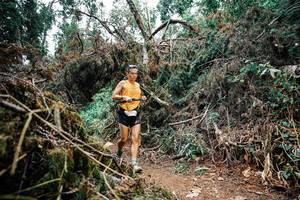 BIB: 
                            <button type="button" onclick="openModal(25523114)" class="btn btn-primary btn-sm float-right btn-popup" data-toggle="modal" data-target=".modal-high-quality">
                        <i class="fas fa-shopping-cart"></i> Add to Cart
                    </button>
                                            <button type="button" onclick="isThisMe(25523114, true)" class="btn btn-success btn-sm float-right btn-popup btn-isme hidden" data-toggle="tooltip" data-placement="bottom" title="นี่คือรูปของคุณใช่ไหม คลิกที่นี่เพื่อเอาเข้าอัลบั้ม">
                        <i class="fas fa-plus"></i> Add to album
                    </button>
                    <button type="button" onclick="isThisMe(25523114, false)" class="btn btn-warning btn-sm float-right btn-popup btn-isnotme hidden">
                        <i class="fas fa-ban"></i> Remove from album
                    </button>