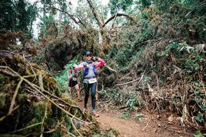 BIB: 
                            <button type="button" onclick="openModal(25552258)" class="btn btn-primary btn-sm float-right btn-popup" data-toggle="modal" data-target=".modal-high-quality">
                        <i class="fas fa-shopping-cart"></i> Add to Cart
                    </button>
                                            <button type="button" onclick="isThisMe(25552258, true)" class="btn btn-success btn-sm float-right btn-popup btn-isme hidden" data-toggle="tooltip" data-placement="bottom" title="นี่คือรูปของคุณใช่ไหม คลิกที่นี่เพื่อเอาเข้าอัลบั้ม">
                        <i class="fas fa-plus"></i> Add to album
                    </button>
                    <button type="button" onclick="isThisMe(25552258, false)" class="btn btn-warning btn-sm float-right btn-popup btn-isnotme hidden">
                        <i class="fas fa-ban"></i> Remove from album
                    </button>