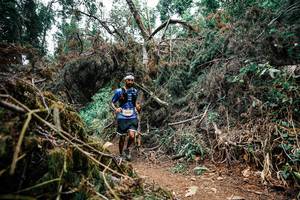 BIB: 
                            <button type="button" onclick="openModal(25519093)" class="btn btn-primary btn-sm float-right btn-popup" data-toggle="modal" data-target=".modal-high-quality">
                        <i class="fas fa-shopping-cart"></i> Add to Cart
                    </button>
                                            <button type="button" onclick="isThisMe(25519093, true)" class="btn btn-success btn-sm float-right btn-popup btn-isme hidden" data-toggle="tooltip" data-placement="bottom" title="นี่คือรูปของคุณใช่ไหม คลิกที่นี่เพื่อเอาเข้าอัลบั้ม">
                        <i class="fas fa-plus"></i> Add to album
                    </button>
                    <button type="button" onclick="isThisMe(25519093, false)" class="btn btn-warning btn-sm float-right btn-popup btn-isnotme hidden">
                        <i class="fas fa-ban"></i> Remove from album
                    </button>