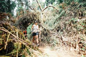 BIB: 
                            <button type="button" onclick="openModal(25541072)" class="btn btn-primary btn-sm float-right btn-popup" data-toggle="modal" data-target=".modal-high-quality">
                        <i class="fas fa-shopping-cart"></i> Add to Cart
                    </button>
                                            <button type="button" onclick="isThisMe(25541072, true)" class="btn btn-success btn-sm float-right btn-popup btn-isme hidden" data-toggle="tooltip" data-placement="bottom" title="นี่คือรูปของคุณใช่ไหม คลิกที่นี่เพื่อเอาเข้าอัลบั้ม">
                        <i class="fas fa-plus"></i> Add to album
                    </button>
                    <button type="button" onclick="isThisMe(25541072, false)" class="btn btn-warning btn-sm float-right btn-popup btn-isnotme hidden">
                        <i class="fas fa-ban"></i> Remove from album
                    </button>