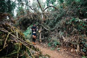 BIB: 
                            <button type="button" onclick="openModal(25470696)" class="btn btn-primary btn-sm float-right btn-popup" data-toggle="modal" data-target=".modal-high-quality">
                        <i class="fas fa-shopping-cart"></i> Add to Cart
                    </button>
                                            <button type="button" onclick="isThisMe(25470696, true)" class="btn btn-success btn-sm float-right btn-popup btn-isme hidden" data-toggle="tooltip" data-placement="bottom" title="นี่คือรูปของคุณใช่ไหม คลิกที่นี่เพื่อเอาเข้าอัลบั้ม">
                        <i class="fas fa-plus"></i> Add to album
                    </button>
                    <button type="button" onclick="isThisMe(25470696, false)" class="btn btn-warning btn-sm float-right btn-popup btn-isnotme hidden">
                        <i class="fas fa-ban"></i> Remove from album
                    </button>