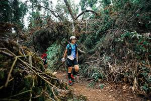 BIB: 
                            <button type="button" onclick="openModal(25529374)" class="btn btn-primary btn-sm float-right btn-popup" data-toggle="modal" data-target=".modal-high-quality">
                        <i class="fas fa-shopping-cart"></i> Add to Cart
                    </button>
                                            <button type="button" onclick="isThisMe(25529374, true)" class="btn btn-success btn-sm float-right btn-popup btn-isme hidden" data-toggle="tooltip" data-placement="bottom" title="นี่คือรูปของคุณใช่ไหม คลิกที่นี่เพื่อเอาเข้าอัลบั้ม">
                        <i class="fas fa-plus"></i> Add to album
                    </button>
                    <button type="button" onclick="isThisMe(25529374, false)" class="btn btn-warning btn-sm float-right btn-popup btn-isnotme hidden">
                        <i class="fas fa-ban"></i> Remove from album
                    </button>